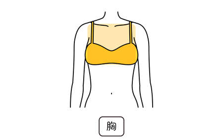 Female Hair Removal Illustration by Parts, Breasts - Translation:Breastsのイラスト素材