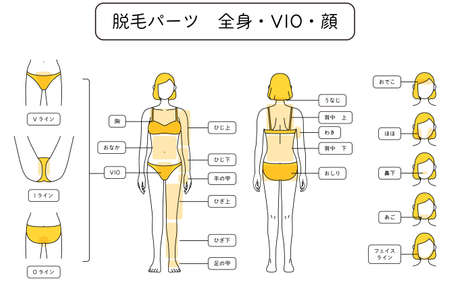 Illustration of female hair removal Full body, VIO, Face - Translation: V-line, I-line, O-line, chest, tummy, elbow, elbow, back of hand, knee, knee, back of leg, nape of neck, upper back, armpit, lower back, hips, forehead, cheeks, nose, chin, face lineのイラスト素材