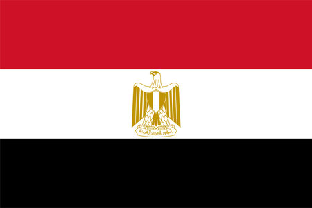 The national flag of the world, Egyptのイラスト素材