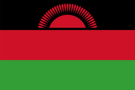 The national flag of the world, Malawiのイラスト素材