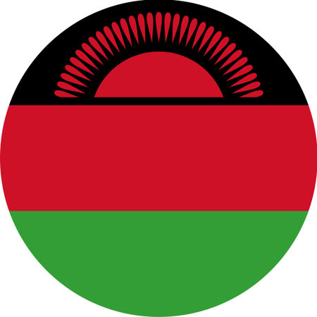 The national flag of the world, Malawiのイラスト素材