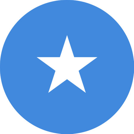 The national flag of the world, Somaliaのイラスト素材