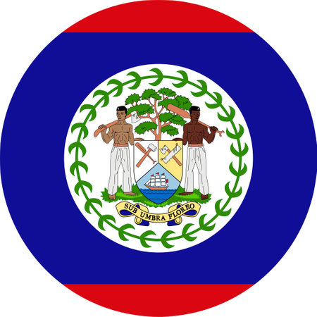 The national flag of the world, Belizeのイラスト素材