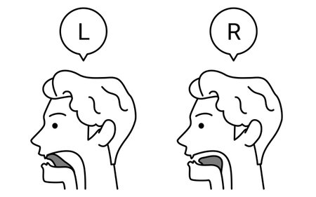 Illustration of tongue movement for English conversation, l and r pronunciations, Vector Illustrationのイラスト素材