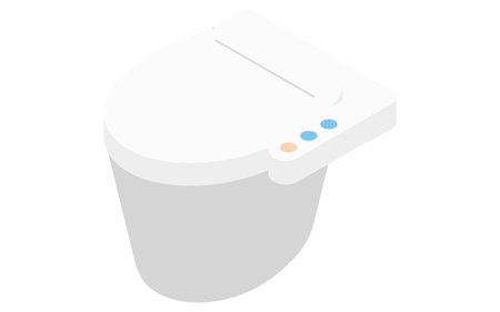 Residential renovation, toilet with bidet (tankless), isometric illustration, Vector Illustrationのイラスト素材