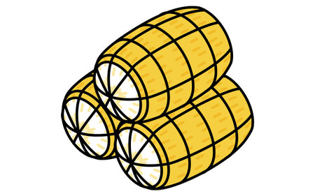 New Year's food, isometric line drawing icon, Vector Illustrationのイラスト素材