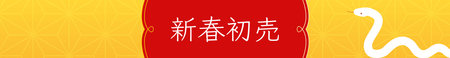 New Year's First Banner for the Year of the Snake 2025 - Translation: New Year's first saleのイラスト素材
