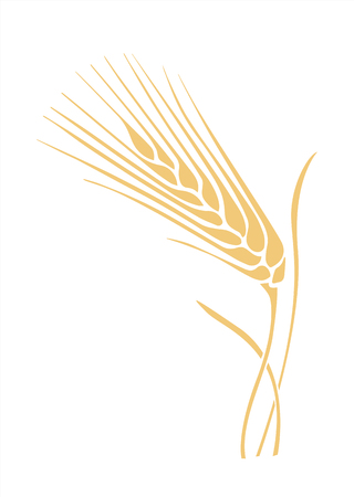 golden wheat spike stylized vector illustrationのイラスト素材