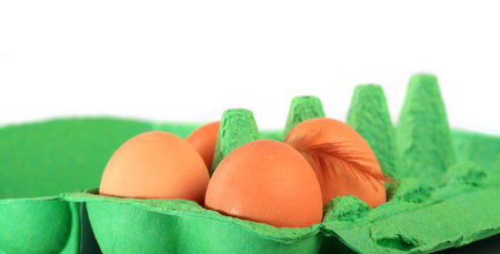 Brown chicken eggs in a carton with down feather in front of white background