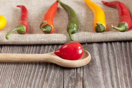 Red hot Habanero chili pepper on a cooking spoon and other chili peppers on a jute clothの写真素材