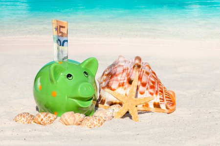 Piggy bank savings with banknotes, Seashells and Starfish on the beach with much Copy Space for additional informationの写真素材