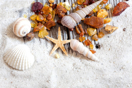 Background of many small amber stones and seashellsの写真素材