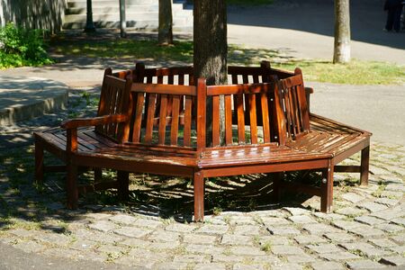 A brown wooden bench around a tree in a public parkの写真素材