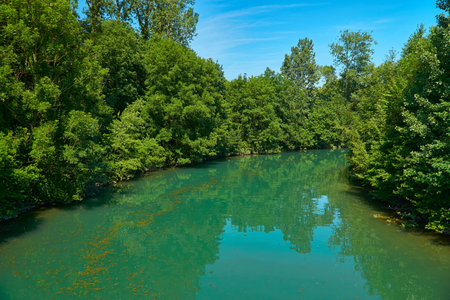 Beautiful scenery at Breisach with Rhine side conduit