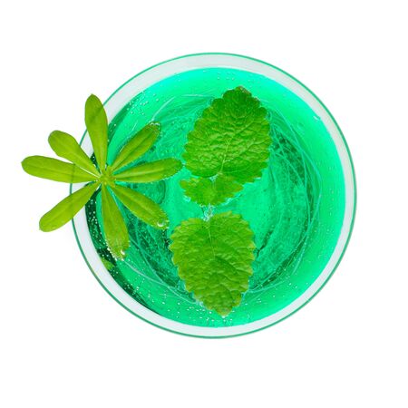 Close up woodruff punch with woodruff and mint leaf isolated front of white backgroundの写真素材