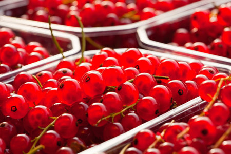 Close up view of fresh ripe red currants in a plastic containerの写真素材