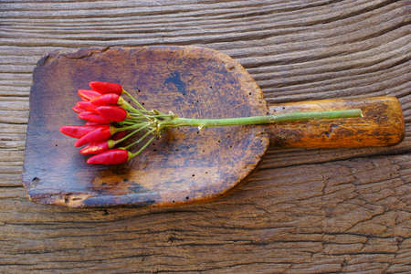 Bunch of red hot chili pods and on an antique spice scoop on an old rustic wooden table with copy spaceの写真素材