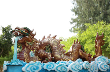 Dragonの写真素材