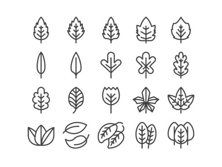 Leaf Outline line Icon Set Autumn fall and Spring Concept Minimal Style Illustration Vector EPS 10. Editable Strokeのイラスト素材
