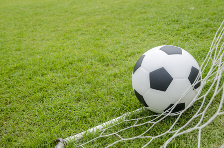 The football with the net on the green grass soccer field.の写真素材