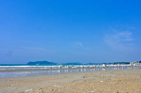 Fresh summer blue sky, sandy beaches and seagullsの写真素材