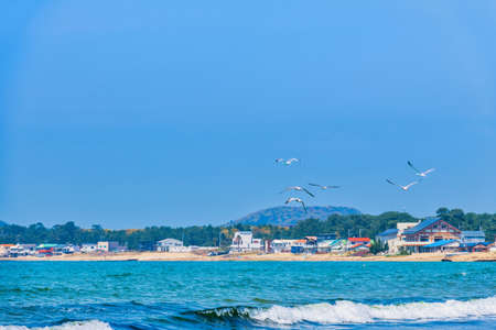 Fresh summer blue sky, sandy beaches and seagullsの写真素材