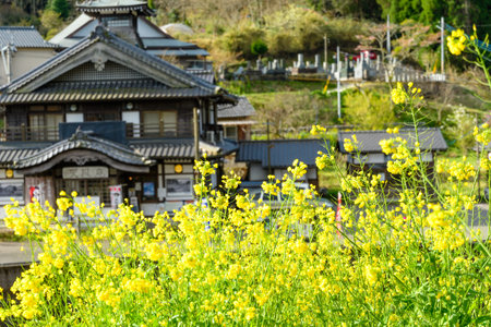 Scenery of Yu Onsen, Mayor of Takeda, Oita Prefectureのeditorial素材