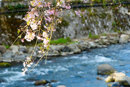 Scenery of Yu Onsen, Mayor of Takeda, Oita Prefectureのeditorial素材