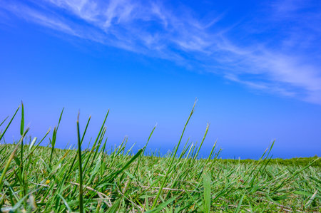 Beautiful blue sky and green and natural scenery of the sea in Kitanagato Coast Quasi-National Park