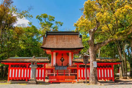Usa Jingu (Oita Prefecture) in spring with beautiful blue skyのeditorial素材