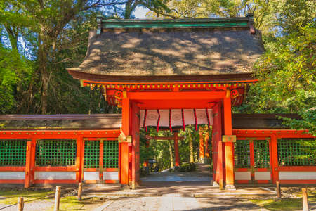 Usa Jingu (Oita Prefecture) in the beautiful spring of Wakabaのeditorial素材