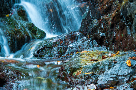 The Mountain Stream and the Fallen Leaves in Autumn