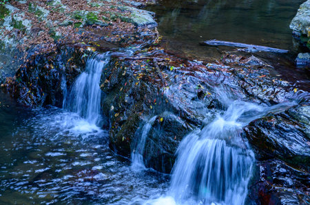 The Mountain Stream and the Fallen Leaves in Autumn