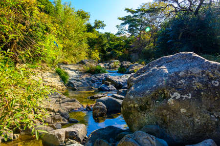 The Mountain Stream and the Fallen Leaves in Autumnの写真素材