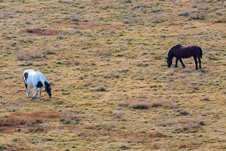 View from Aso Kusa Senri Observatoryの写真素材