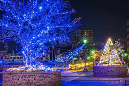 Wakamatsu-ku, Kitakyushu City, Fukuoka Prefecture, Japan, held from December 3, 2020, a festival to decorate the streets of Wakamatsu South Coast beautifully with illuminationsのeditorial素材