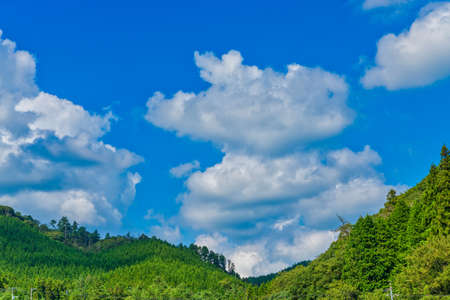 Idyllic countryside and mountains in summerの写真素材