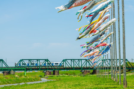 Carp streamer and train in the blue sky of Onga Riverbed