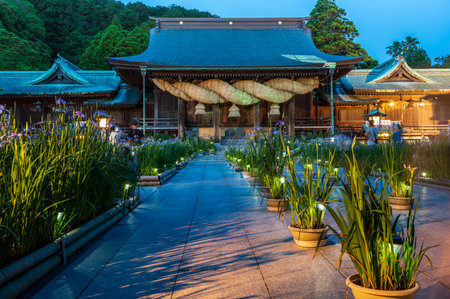 Sunset at Miyajidake Shrine in summer with irisesのeditorial素材