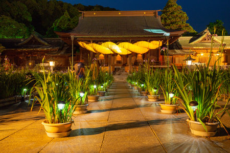 Night view of Miyajidake Shrine in summer with irises