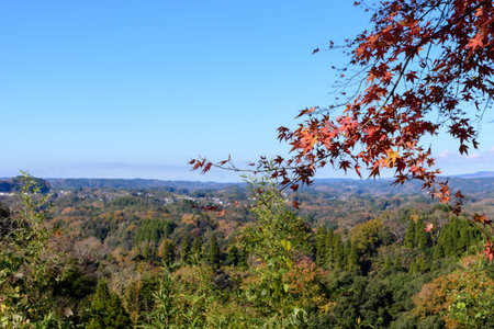 Autumn Oka Castle Ruins
