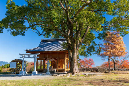 Autumn Oka Castle Ruinsのeditorial素材