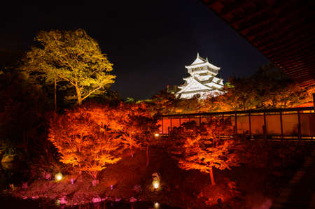 Autumn leaves of Kokura Castle Garden lit up at nightのeditorial素材