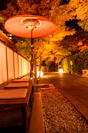 Autumn leaves of Kokura Castle Garden lit up at nightのeditorial素材