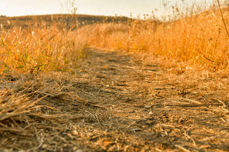 Refreshing Winter Dead Grass Meadow Hiraodaiの写真素材
