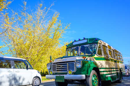 An old bus running along a row of gingko trees in the blue skyの写真素材