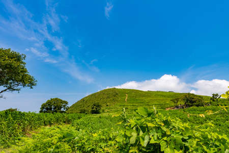 Exploration of the ground The famous Thousand Buddha Limestone Cave in Hiraodaiの写真素材
