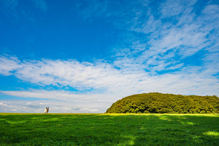 Autumn Meadowの写真素材