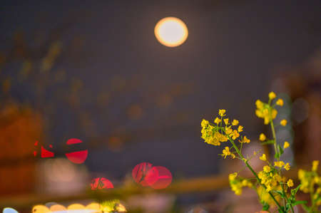 Beautiful flowers on the street corner at nightの写真素材