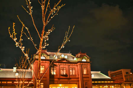 Cherry blossoms blooming at Mojiko Station at nightの写真素材